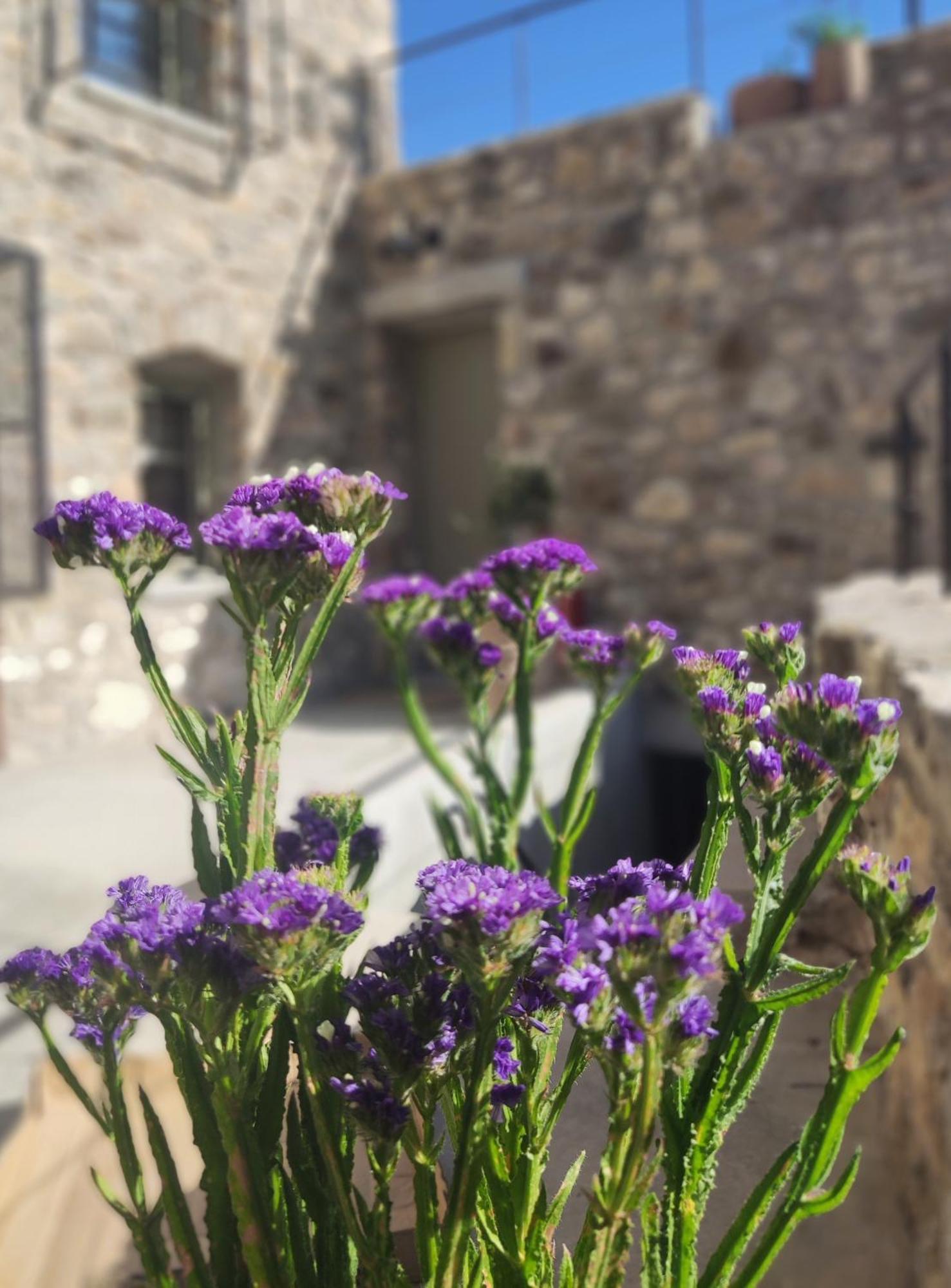 Pyrgi Cretan Living & Spa Pirgos  Eksteriør bilde